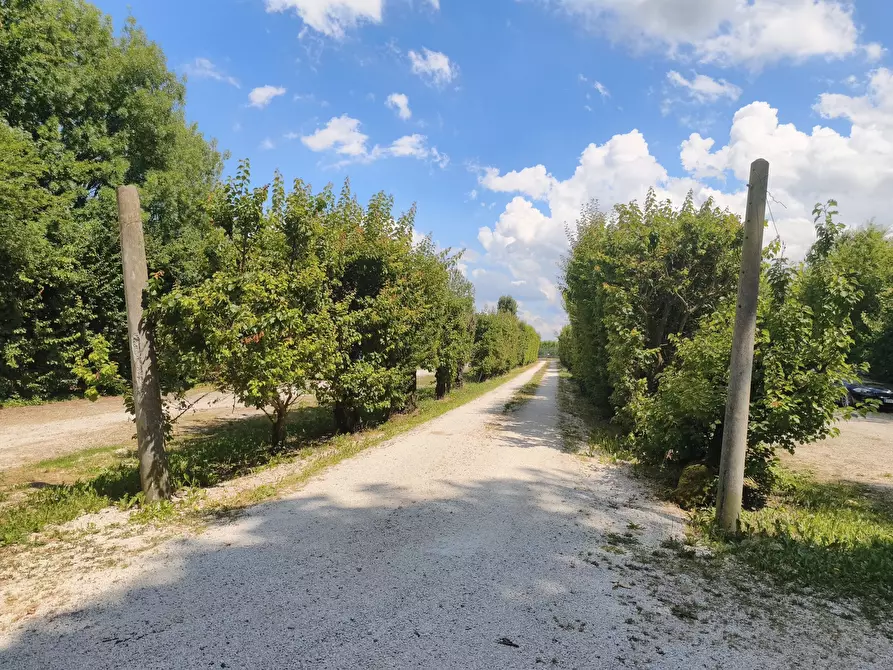 Immagine 2 di Bed & Breakfast in vendita  a Nonantola