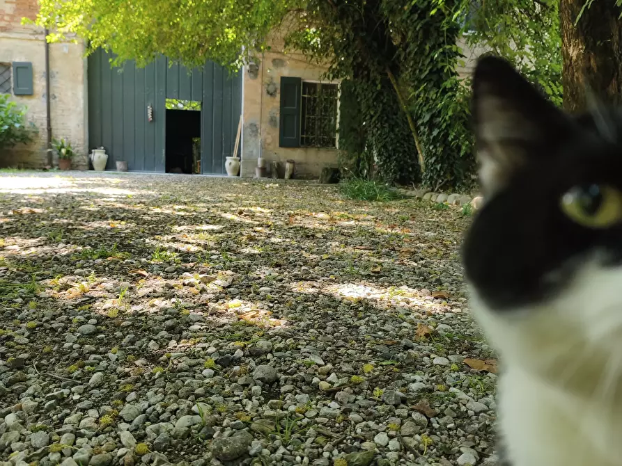 Immagine 42 di Porzione di casa in vendita  in Via Budrione Migliarina Parte Est 37 a Carpi
