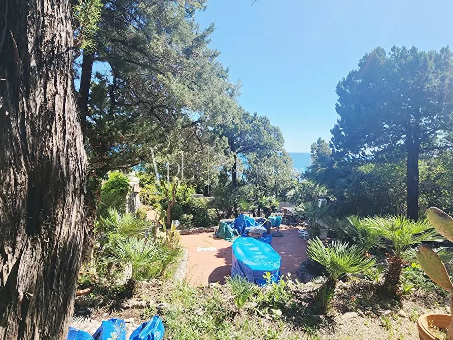 Immagine 9 di Villa in affitto  a San Felice Circeo