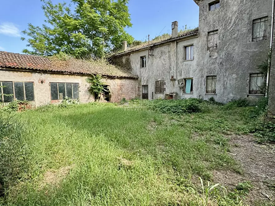 Immagine 9 di Villa in vendita  in Via Giotto 45 a Rovigo
