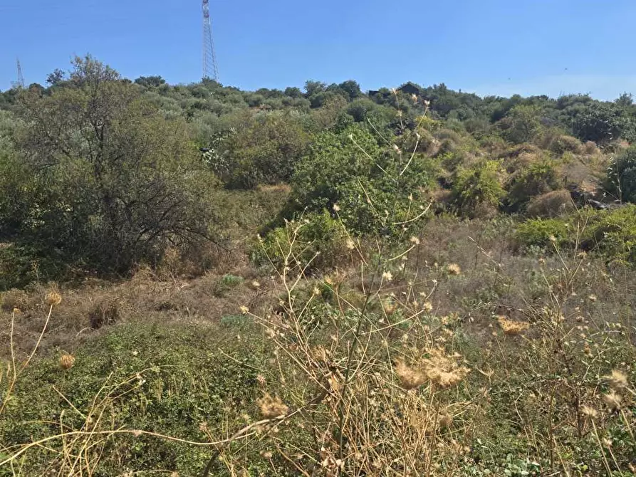Immagine 5 di Terreno agricolo in vendita  in Via Luigi Pirandello a Camporotondo Etneo