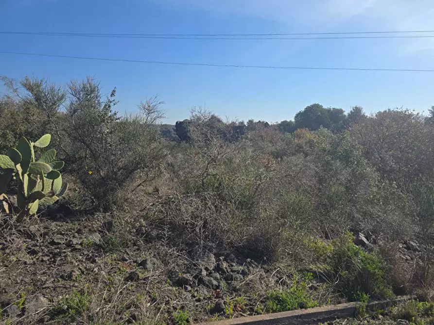 Immagine 38 di Terreno industriale in vendita  in Via Gran Bretagna a Camporotondo Etneo