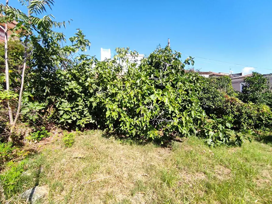 Immagine 15 di Terreno edificabile in vendita  in Via San Giovanni a Mascali