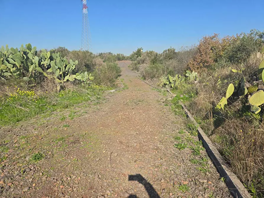 Immagine 22 di Terreno industriale in vendita  in Via Gran Bretagna a Camporotondo Etneo