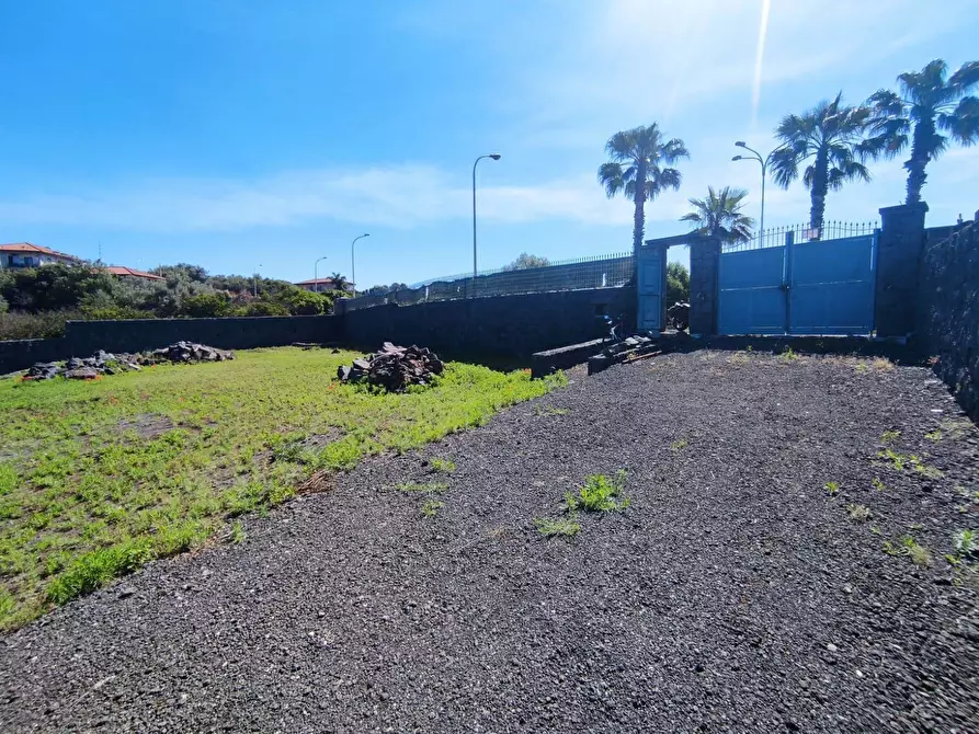 Immagine 6 di Terreno agricolo in vendita  a Misterbianco