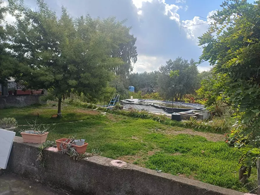 Immagine 8 di Terreno agricolo in vendita  in Via Friuli snc a Mascalucia