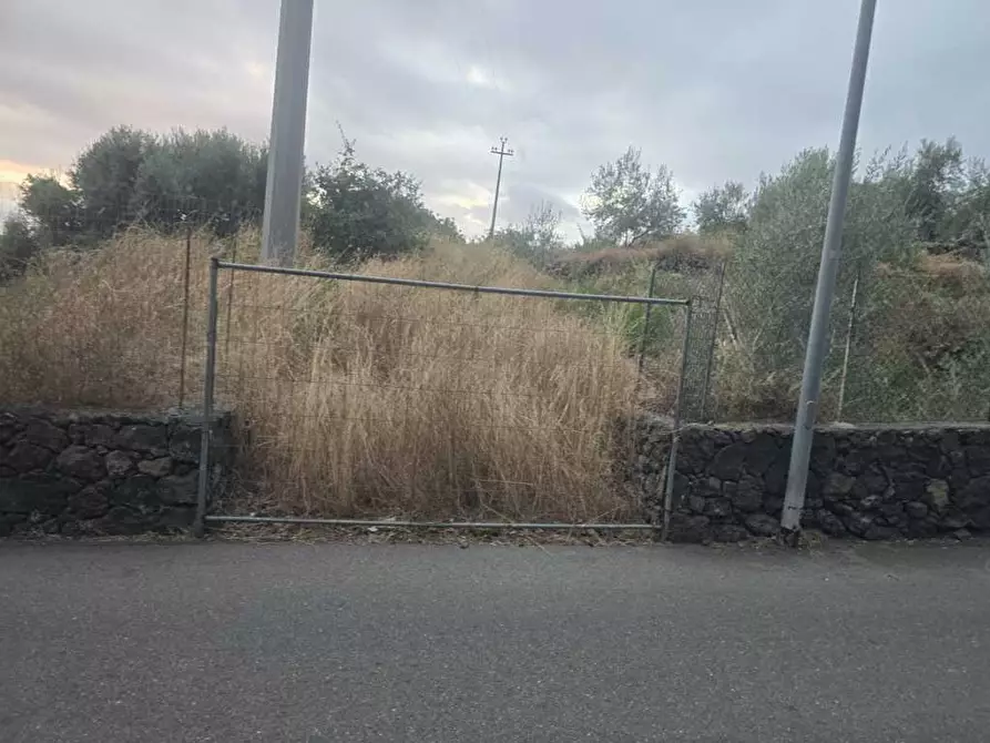 Immagine 7 di Terreno agricolo in vendita  in Via Risorgimento 31-33 a Camporotondo Etneo