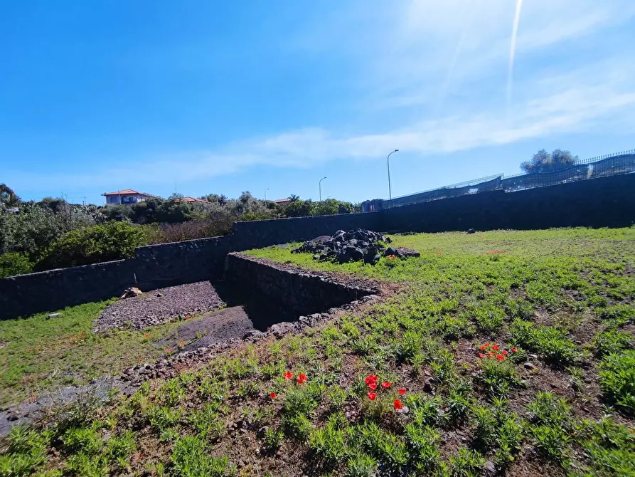 Immagine 10 di Terreno agricolo in vendita  a Misterbianco