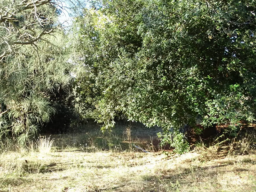 Immagine 10 di Terreno agricolo in vendita  in SP158 a Biancavilla