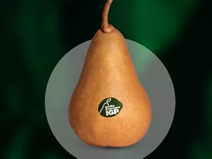 Immagine 5 di Terreno agricolo in vendita  in via marchiona a Modena