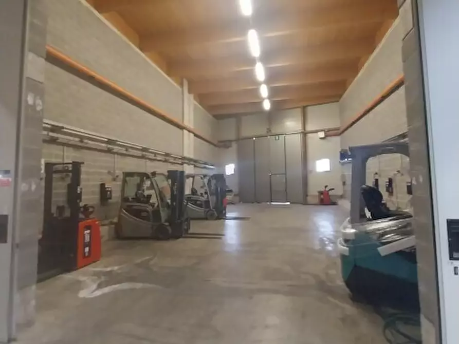 Immagine 8 di Attività artigianale in affitto  in via Martin Luther King 1/23 a Rolo