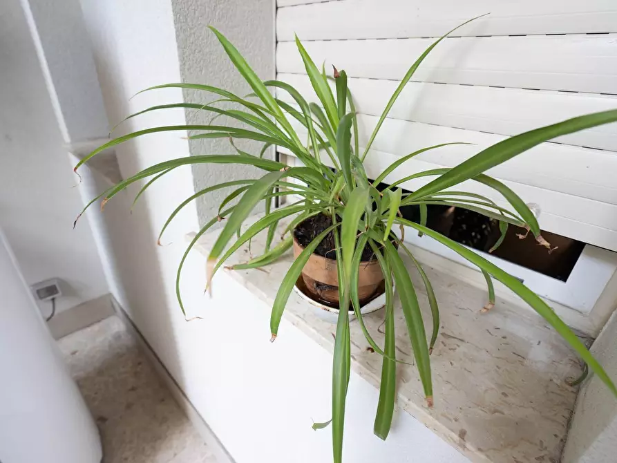 Immagine 41 di Quadrilocale in vendita  in Via Caronda 178 a Catania