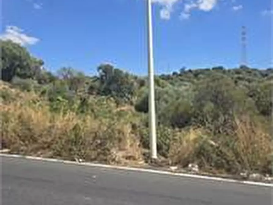 Immagine 6 di Terreno agricolo in vendita  in Via Luigi Pirandello a Camporotondo Etneo