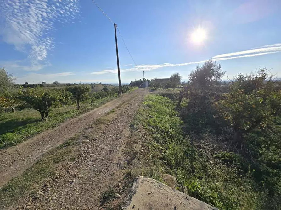 Immagine 23 di Terreno agricolo in vendita  in Via San Nicola 19 a Motta Sant'anastasia