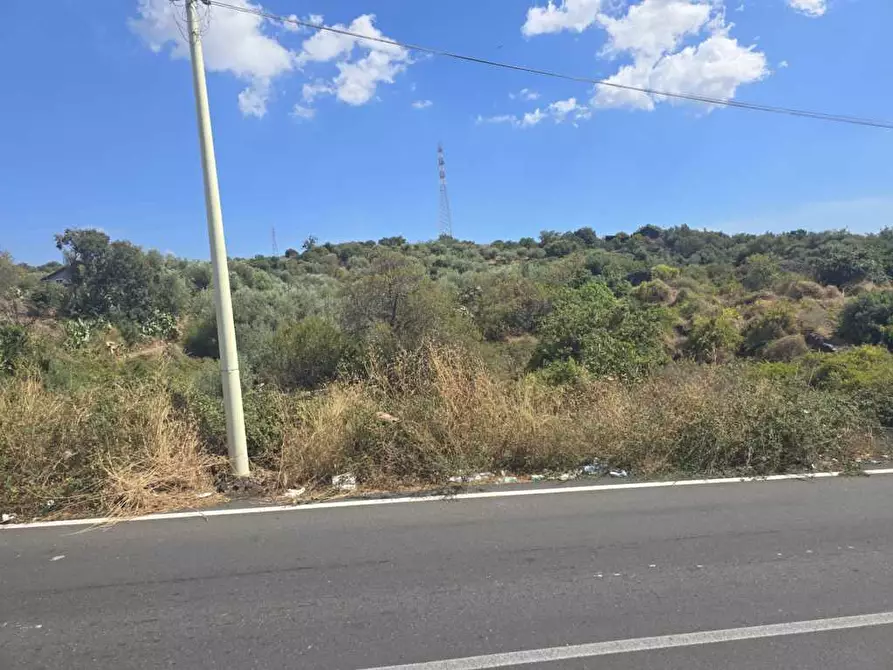 Immagine 7 di Terreno agricolo in vendita  in Via Luigi Pirandello a Camporotondo Etneo