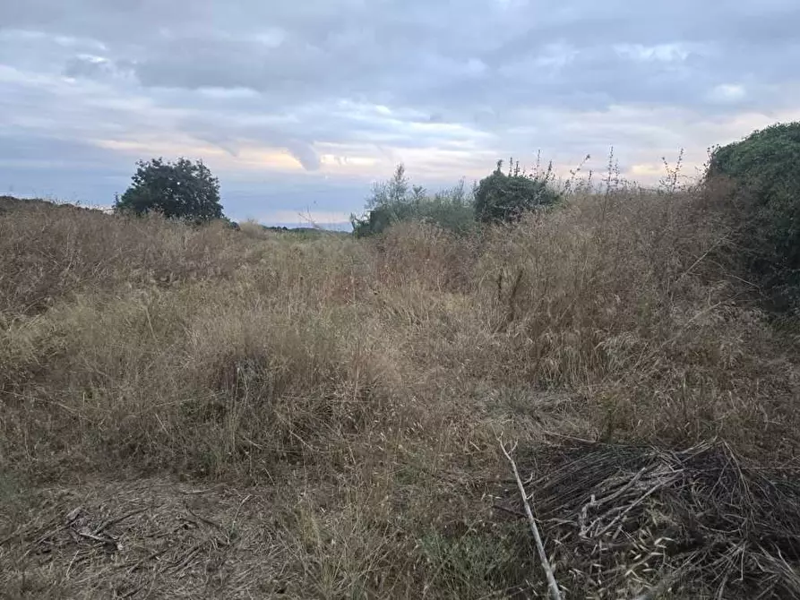 Immagine 11 di Terreno agricolo in vendita  in Via Risorgimento 31-33 a Camporotondo Etneo