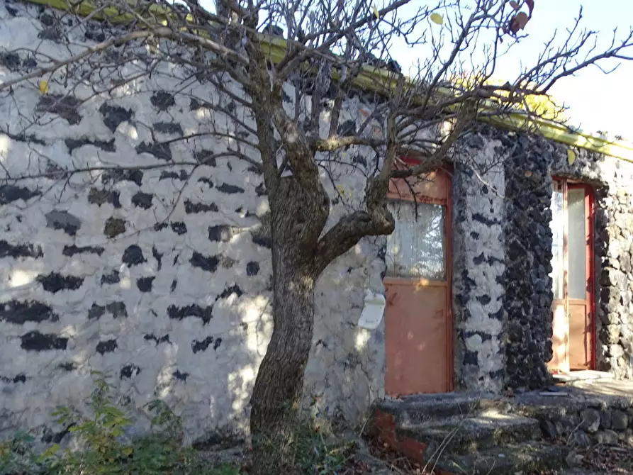 Immagine 9 di Terreno agricolo in vendita  in SP158 a Biancavilla