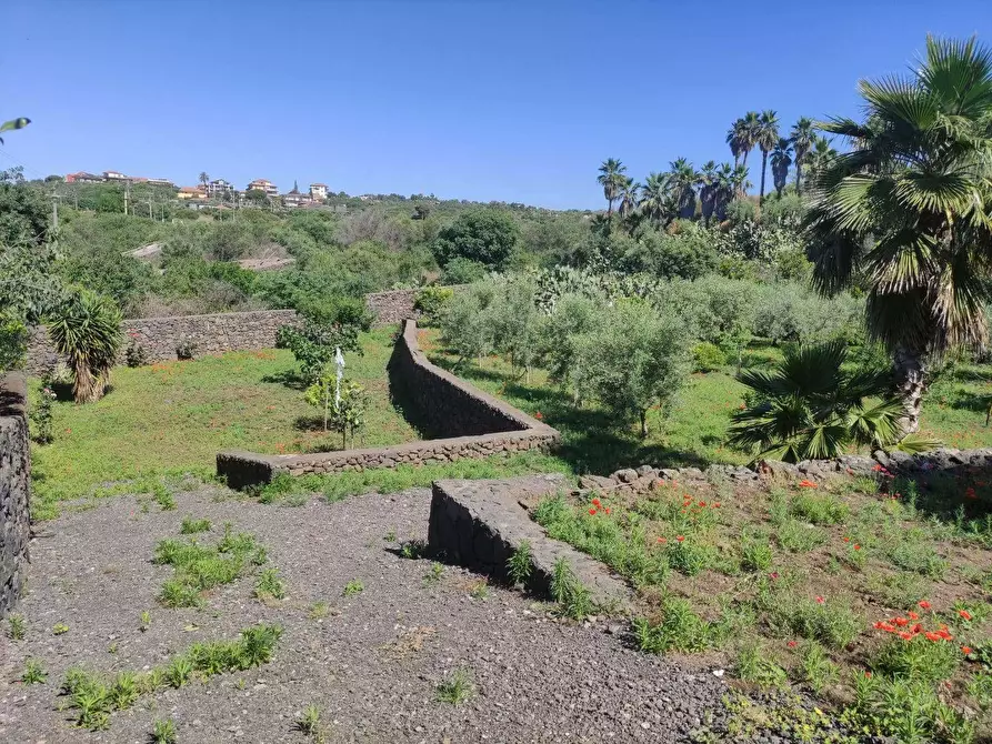 Immagine 8 di Terreno agricolo in vendita  a Misterbianco