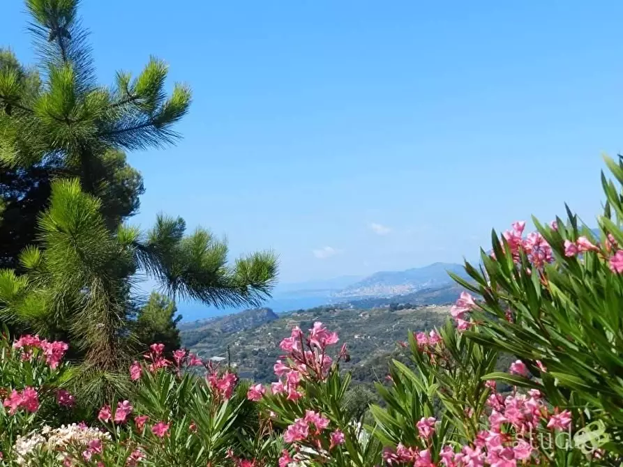 Immagine 43 di Villa in vendita  in Strada della villa a Seborga