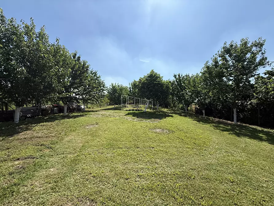 Immagine 11 di Casa indipendente in vendita  a Gavello