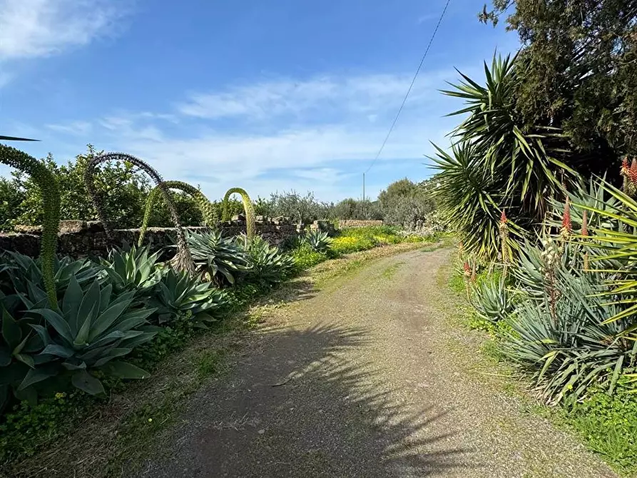Immagine 18 di Villa in vendita  in CONTRADA SAN LEONARDO SNC a Carlentini
