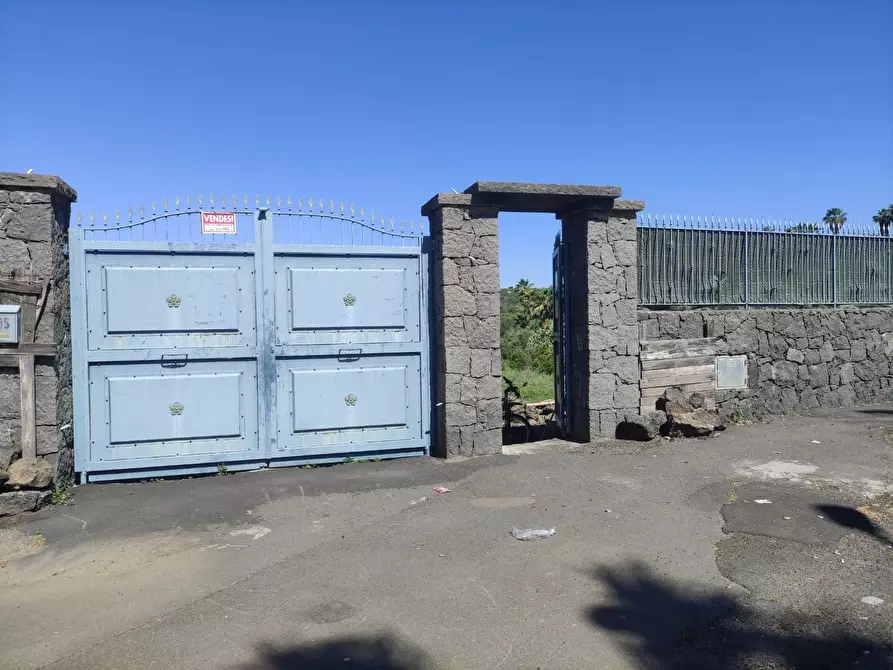 Immagine 2 di Terreno agricolo in vendita  a Misterbianco