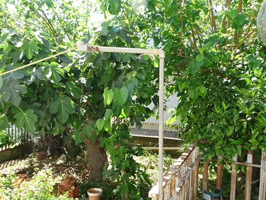 Immagine 3 di Casa indipendente in vendita  in Via delle Albicocche 17 a Catania