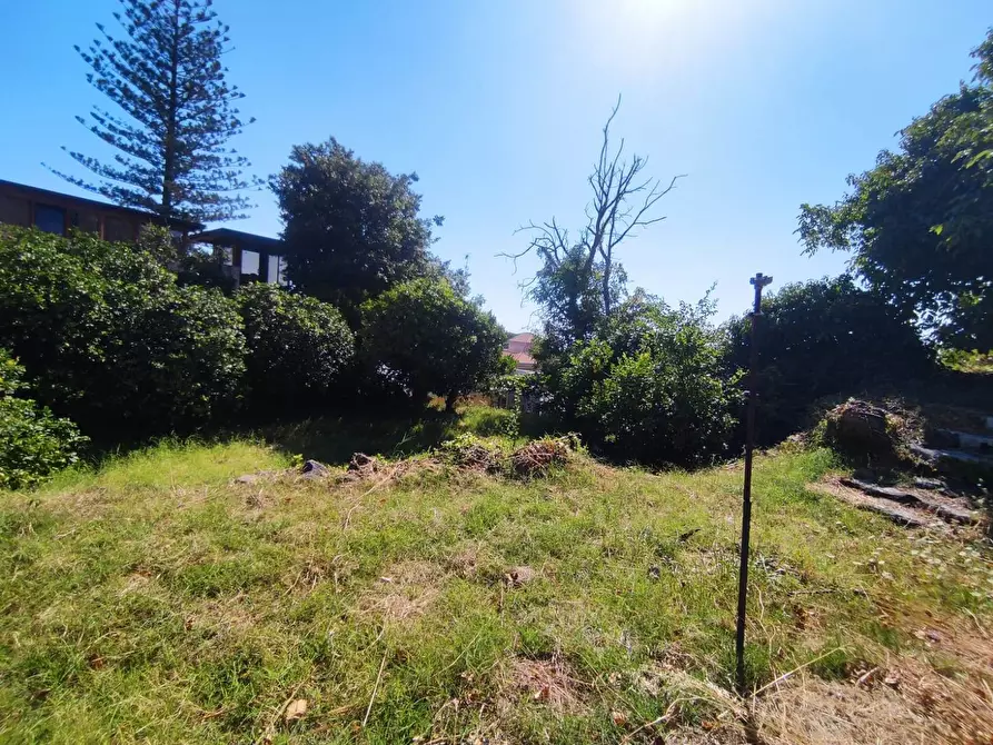 Immagine 4 di Terreno edificabile in vendita  in Via San Giovanni a Mascali