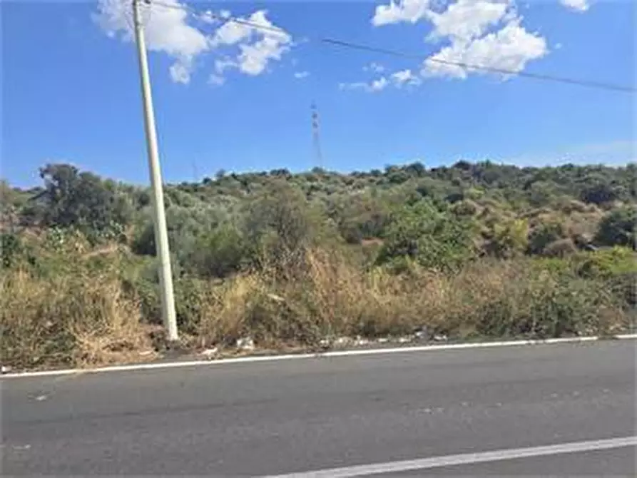 Immagine 7 di Terreno agricolo in vendita  in Via Luigi Pirandello a Camporotondo Etneo