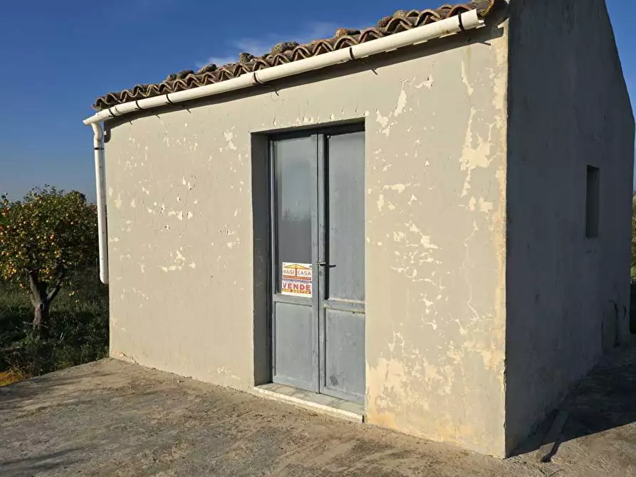 Immagine 22 di Terreno agricolo in vendita  in Via San Nicola 19 a Motta Sant'anastasia