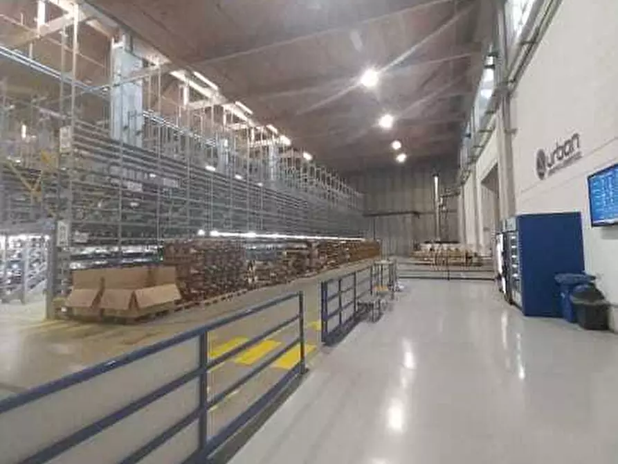 Immagine 3 di Attività artigianale in affitto  in via Martin Luther King 1/23 a Rolo