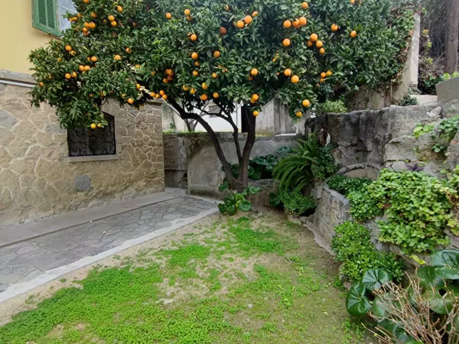 Immagine 15 di Villa in vendita  in Via Zeffiro Massa 344 a San Remo