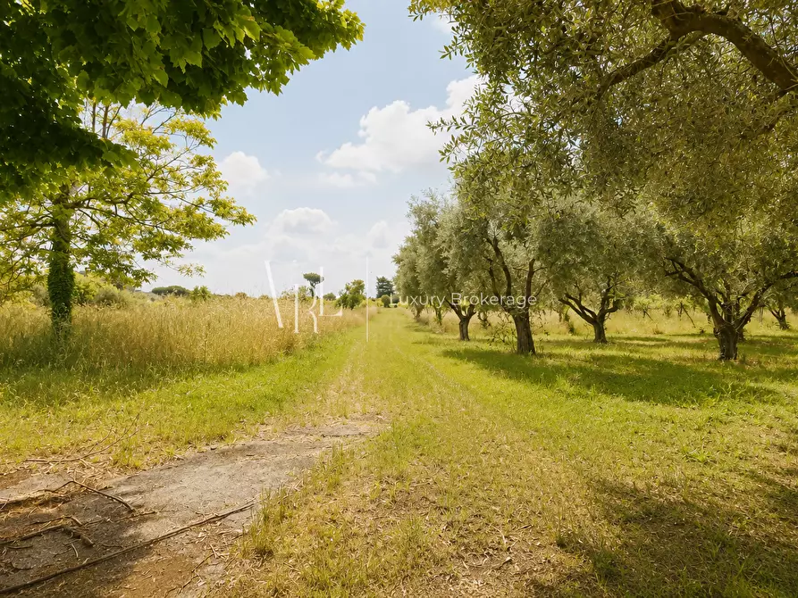 Immagine 18 di Villa in vendita  a Frascati