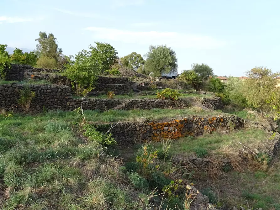 Immagine 3 di Terreno agricolo in vendita  in Via Alto Adige a Mascalucia