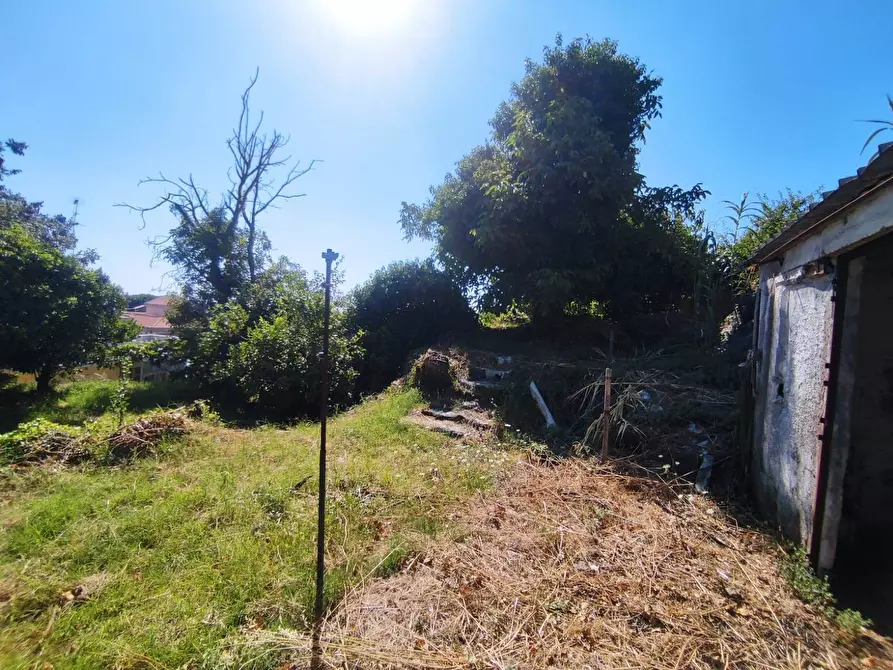 Immagine 5 di Terreno edificabile in vendita  in Via San Giovanni a Mascali