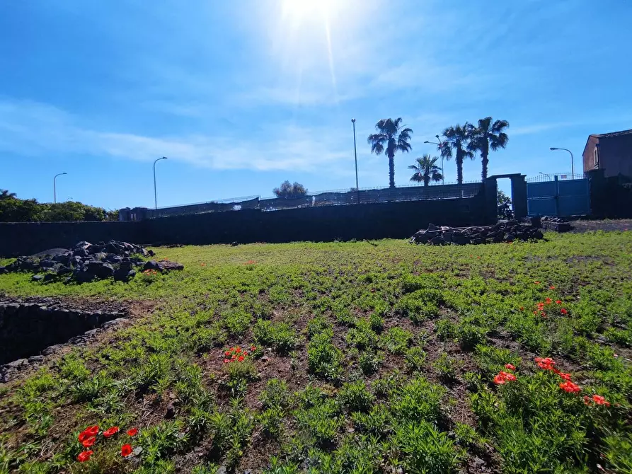 Immagine 5 di Terreno agricolo in vendita  a Misterbianco