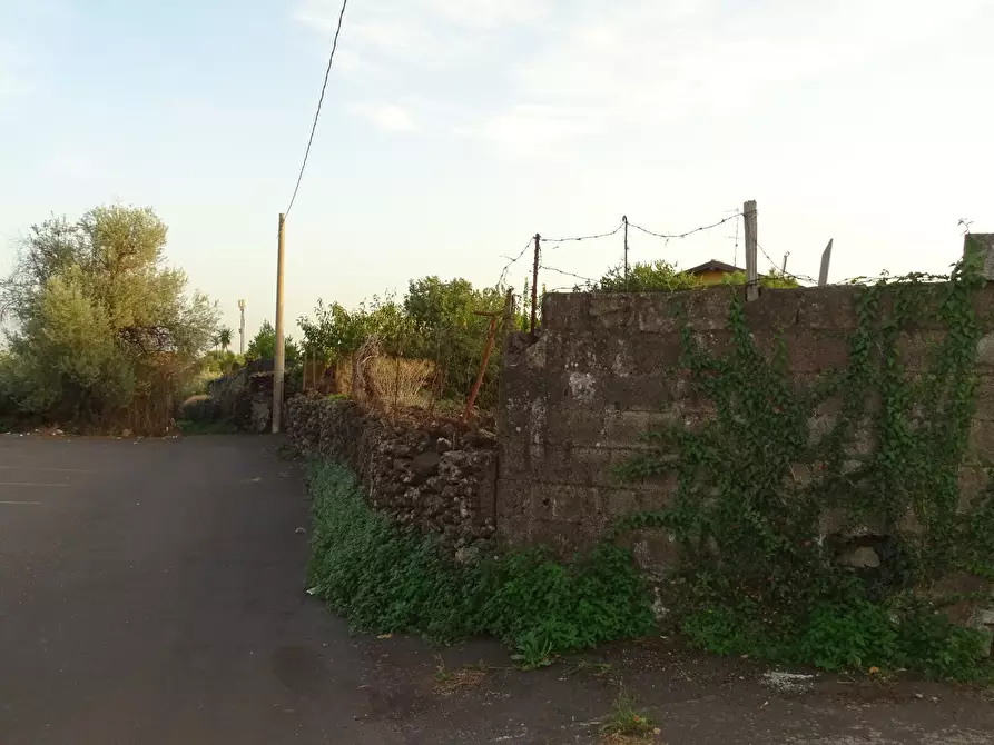 Immagine 7 di Terreno agricolo in vendita  in Via Alto Adige a Mascalucia