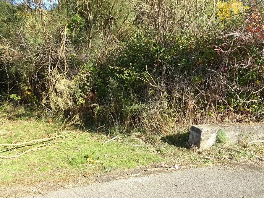 Immagine 19 di Terreno agricolo in vendita  in SP158 a Biancavilla
