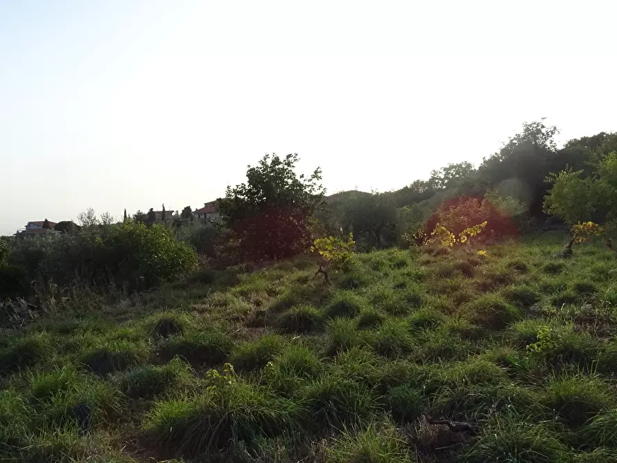 Immagine 2 di Terreno agricolo in vendita  in Via Alto Adige a Mascalucia