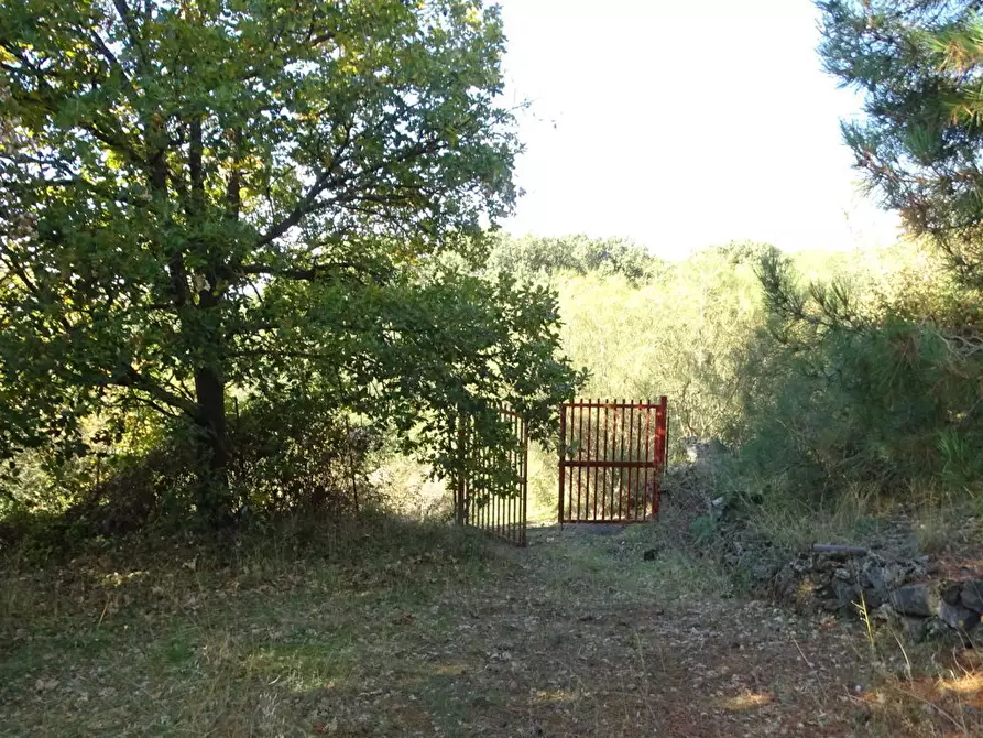Immagine 11 di Terreno agricolo in vendita  in SP158 a Biancavilla