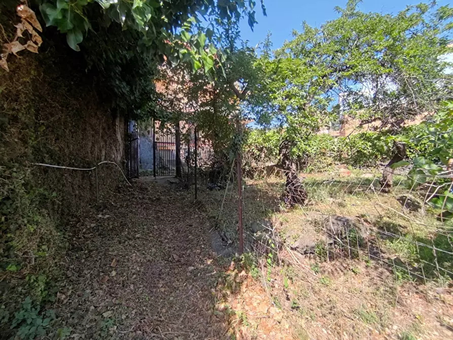 Immagine 9 di Terreno edificabile in vendita  in Via San Giovanni a Mascali