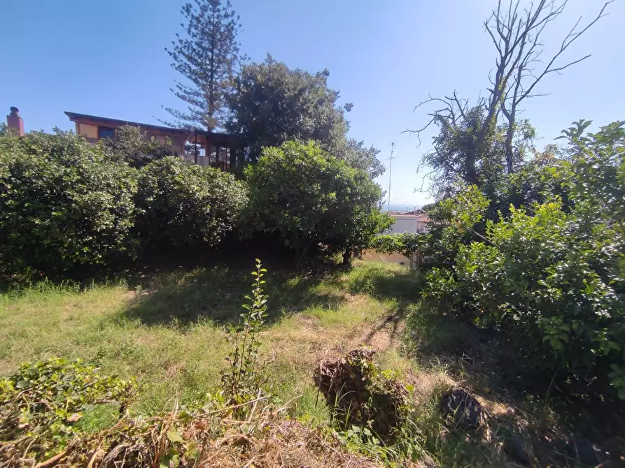 Immagine 6 di Terreno edificabile in vendita  in Via San Giovanni a Mascali