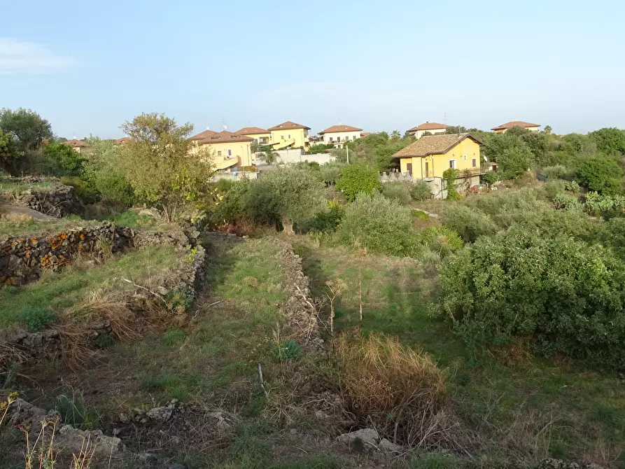 Immagine 4 di Terreno agricolo in vendita  in Via Alto Adige a Mascalucia