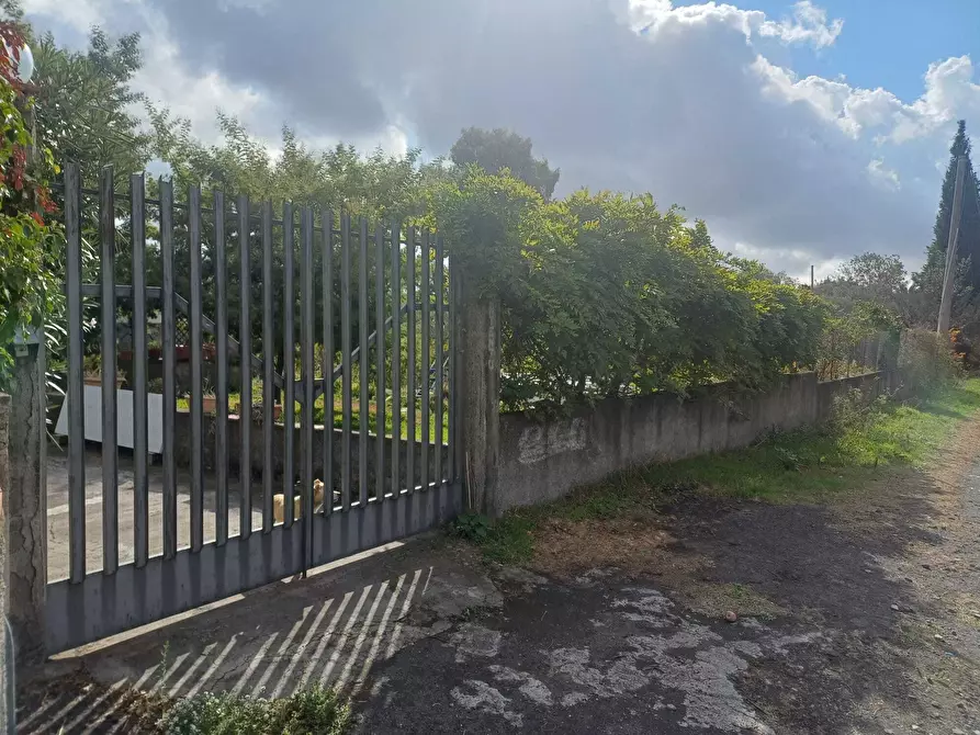 Immagine 11 di Terreno agricolo in vendita  in Via Friuli snc a Mascalucia