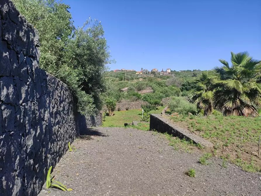 Immagine 4 di Terreno agricolo in vendita  a Misterbianco