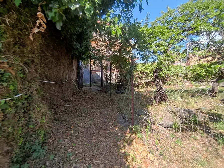 Immagine 14 di Terreno edificabile in vendita  in Via San Giovanni a Mascali