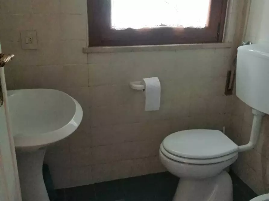 Immagine 10 di Terratetto in vendita  a Viareggio