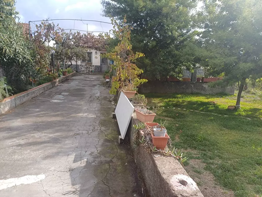 Immagine 6 di Terreno agricolo in vendita  in Via Friuli snc a Mascalucia