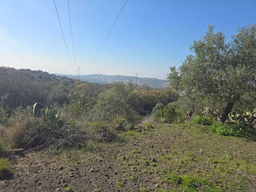 Immagine 36 di Terreno industriale in vendita  in Via Gran Bretagna a Camporotondo Etneo