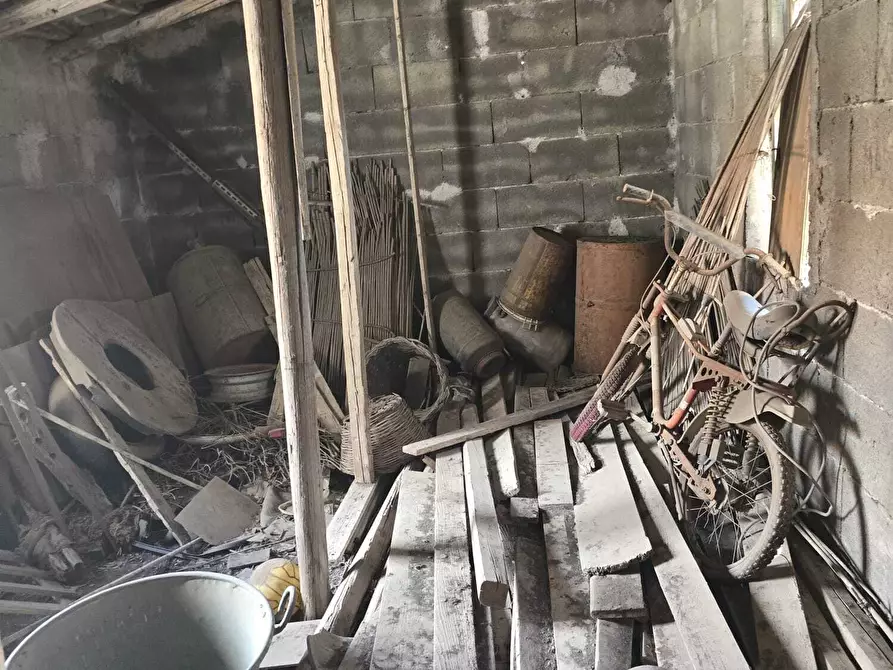 Immagine 10 di Rustico / casale in vendita  in Piazza Sant'Antonio Abate a Camporotondo Etneo